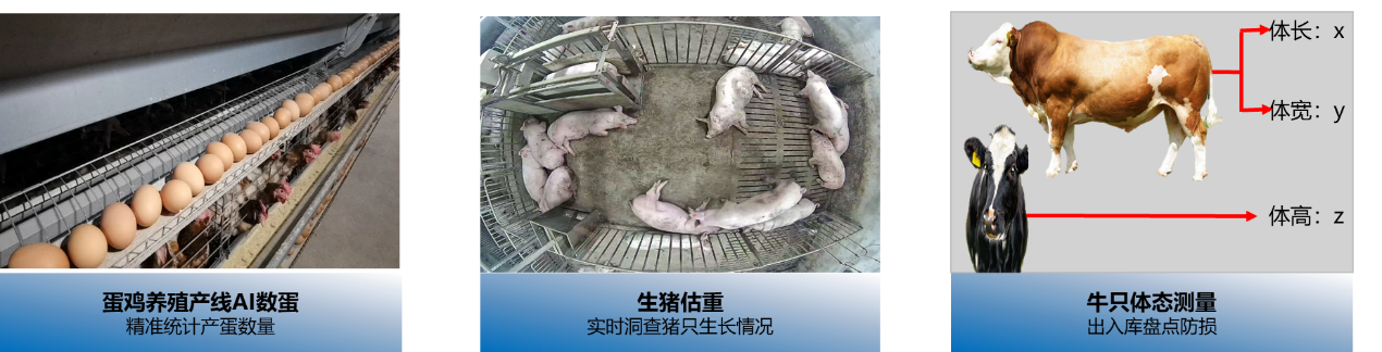 圖片關(guān)鍵詞 圖片關(guān)鍵詞